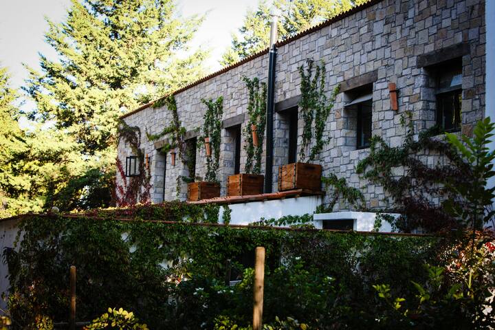 Country house with vineyards and wine production.