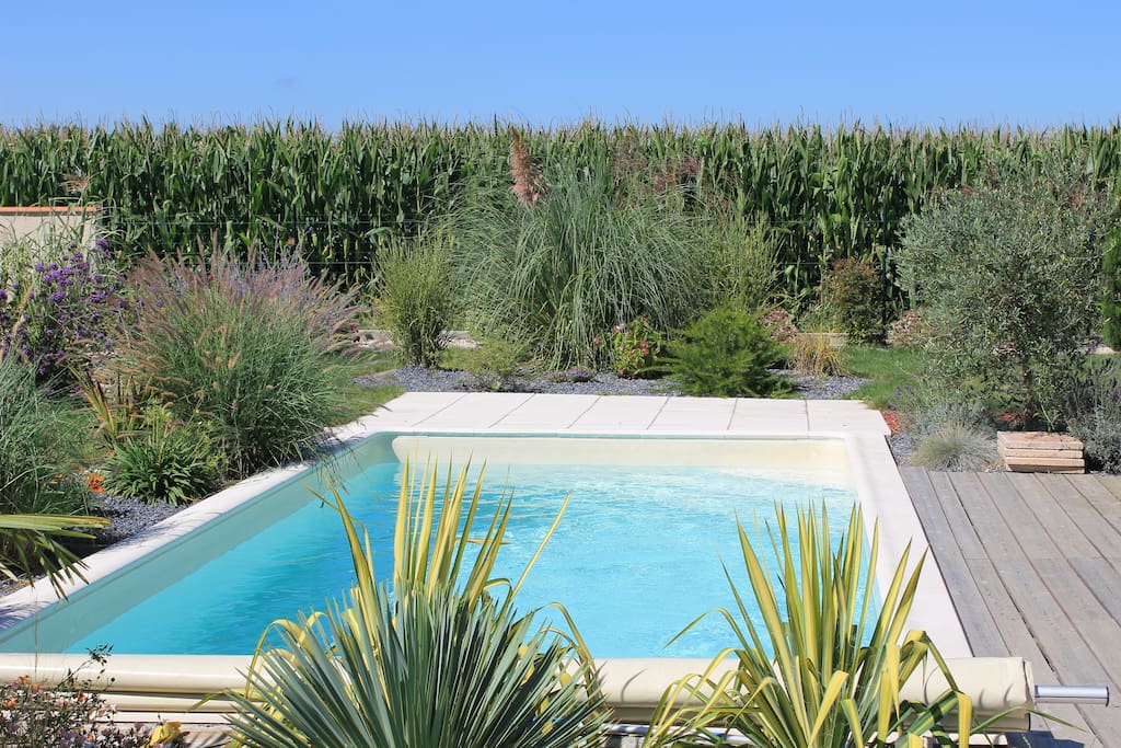 Piscine située devant la terrasse