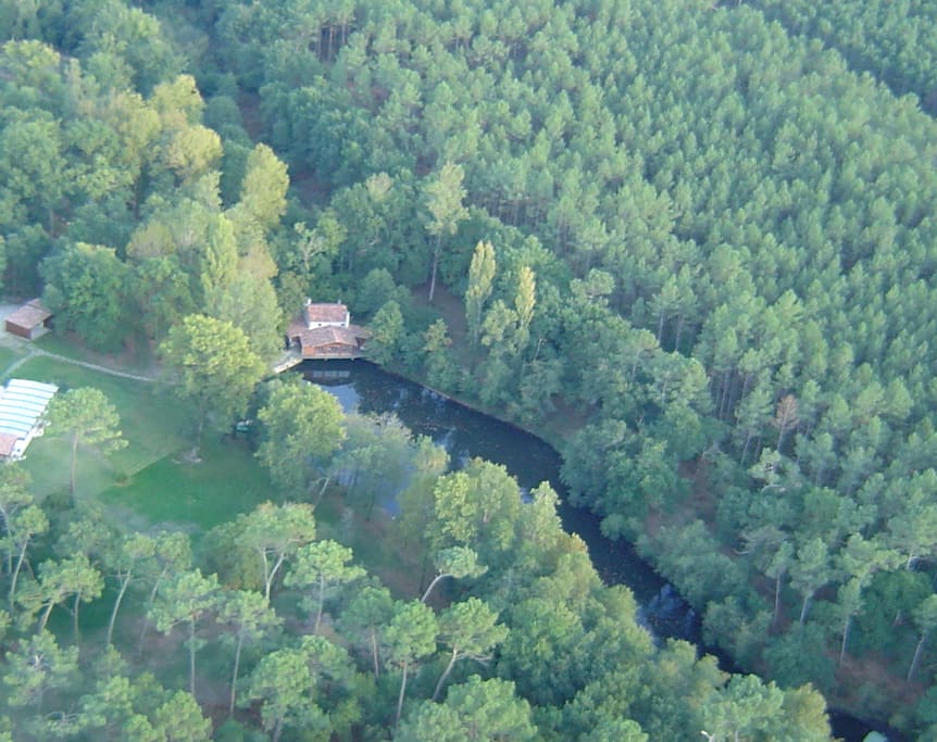 bird view of the part of the property
