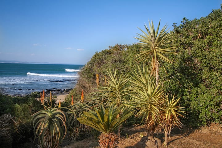 Roll out of Bed & Onto the Beach (or Waves!)