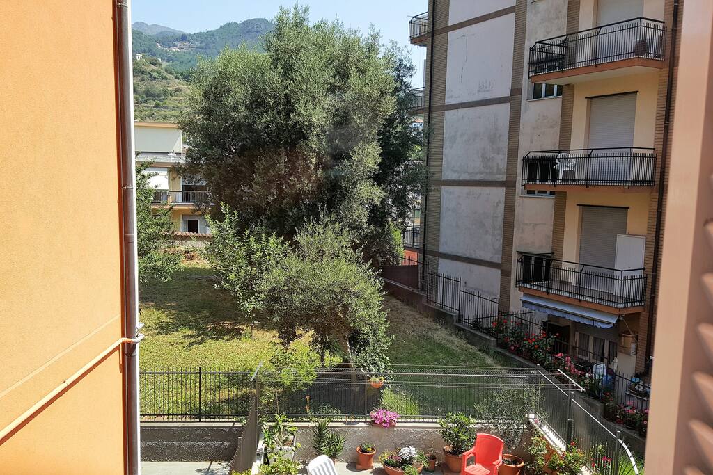 Vista dalla finestra