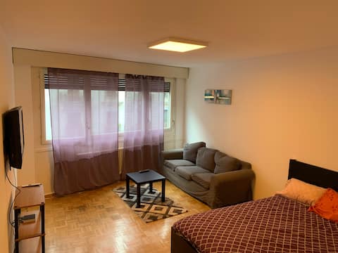 Top Airbnb: 1.5-room studio in the center of Geneva (Plainpalais) in Plainpalais