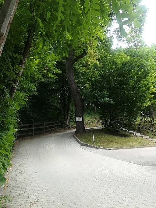La strada privata di accesso alla casa / The private road to the house.