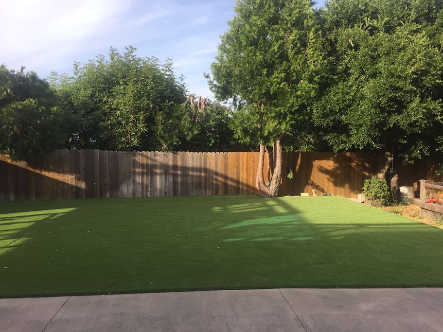 Backyard