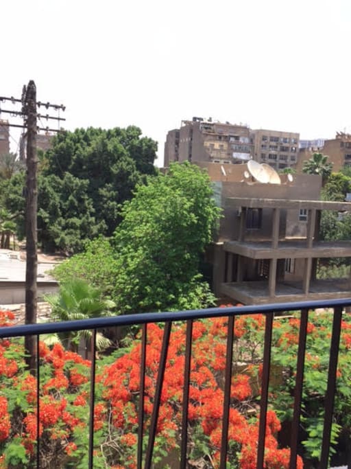 Balcony 2 view