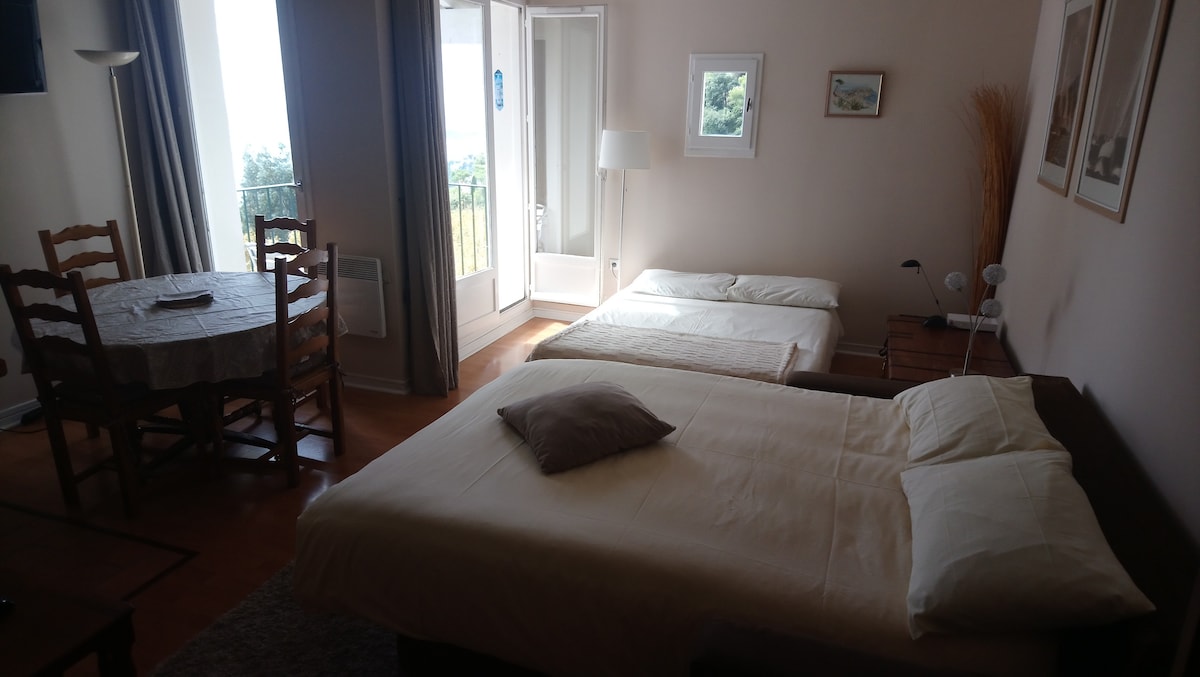 2 canapés convertibles