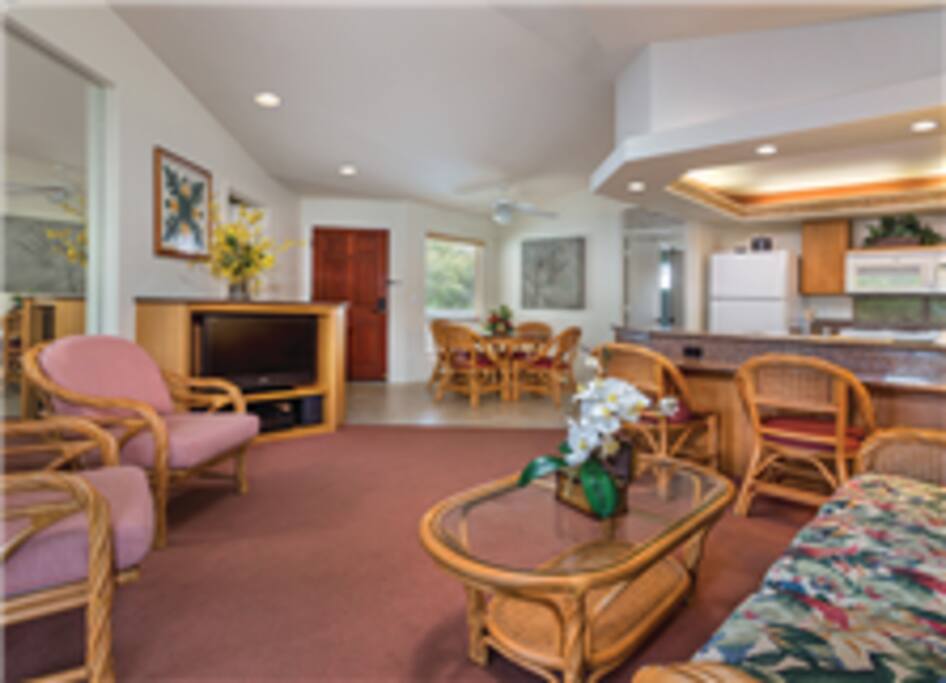Living Room with sofa sleeper