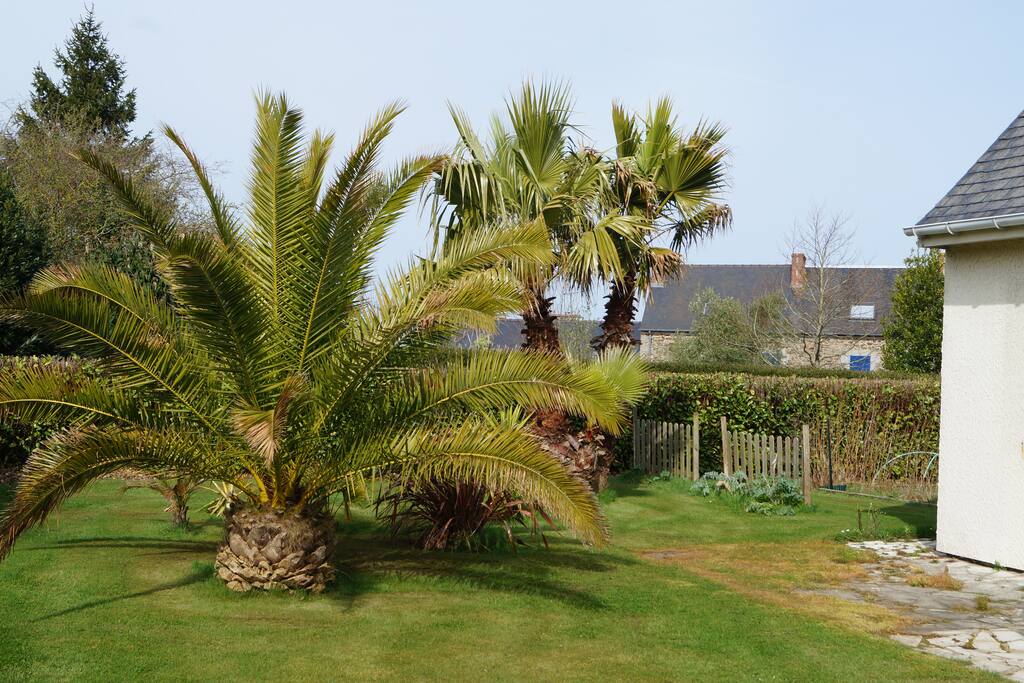 Jardin