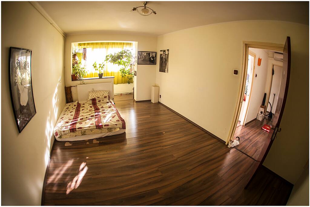 Living Guest Room
