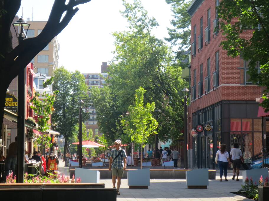 Pedestrian street Prince Arthur