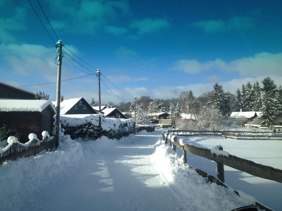 Verschneit im Winter