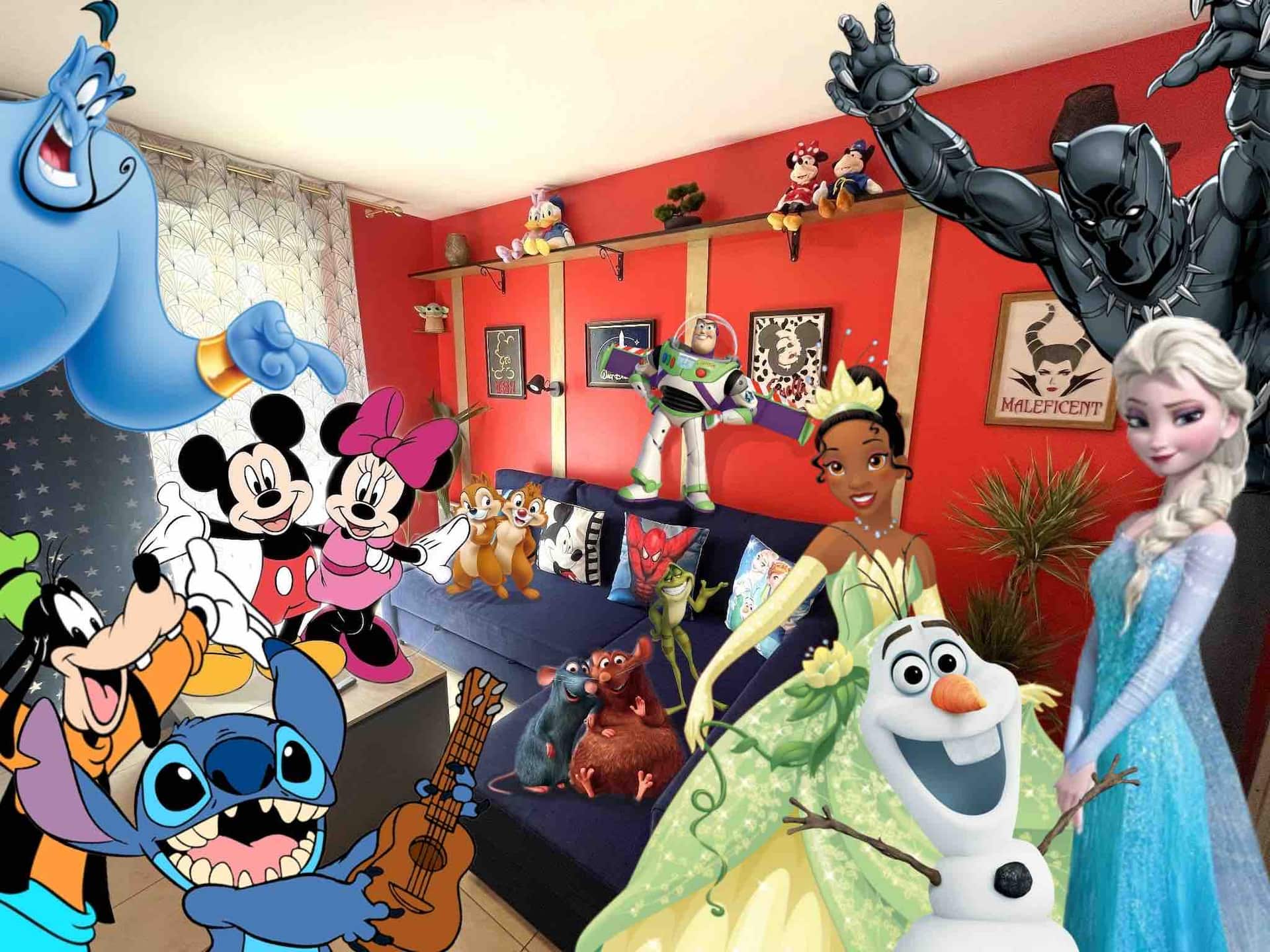 Disney Room 15 minutes from the park