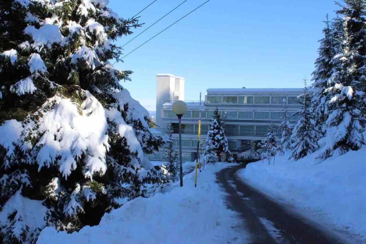A snow-covered pathway leads to a modern building surrounded by tall evergreen trees. The building's large windows reflect the winter landscape, and a lamp post stands along the path, providing a sense of warmth in the cold environment.