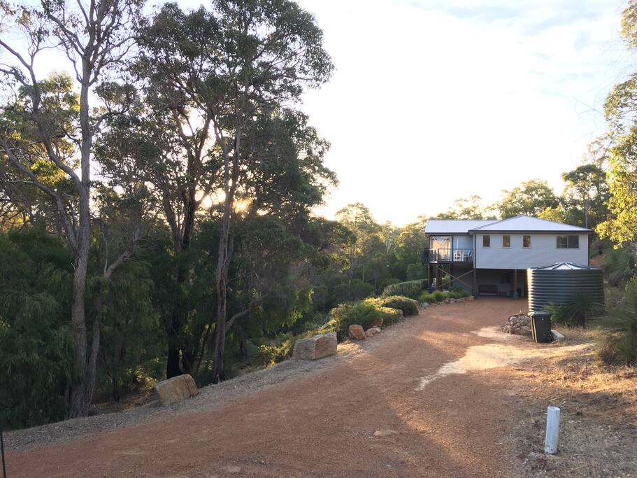 Driveway into the house