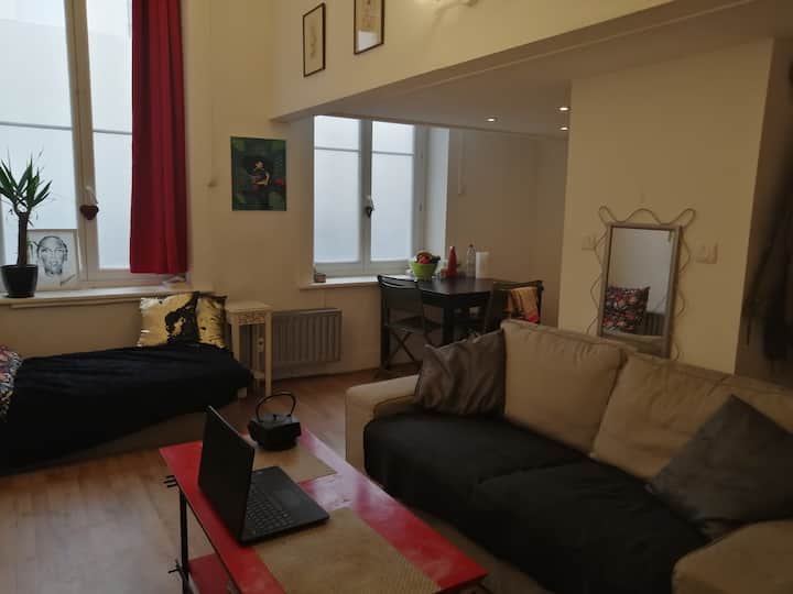 Lille Vacation Rentals & Homes HautsdeFrance, France Airbnb