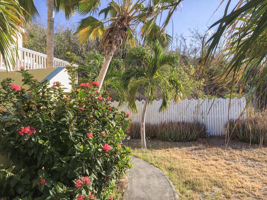 Private walk from pool to apartment.