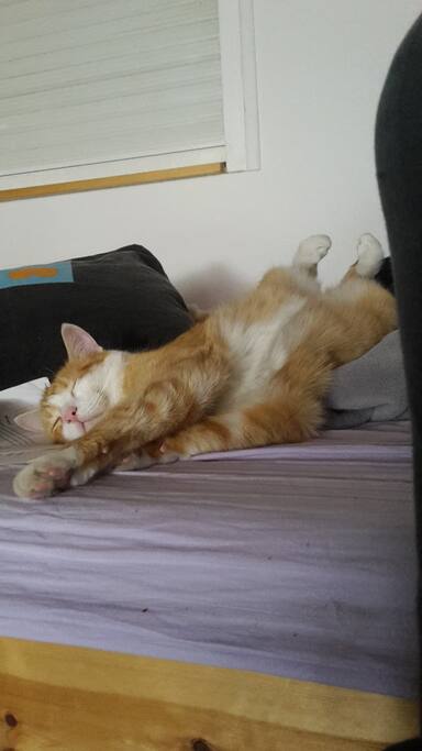 Le petit bébé : Weasley