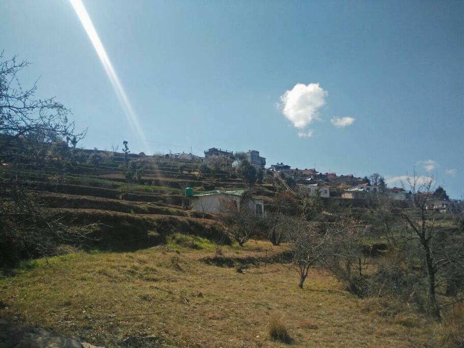 From a distance