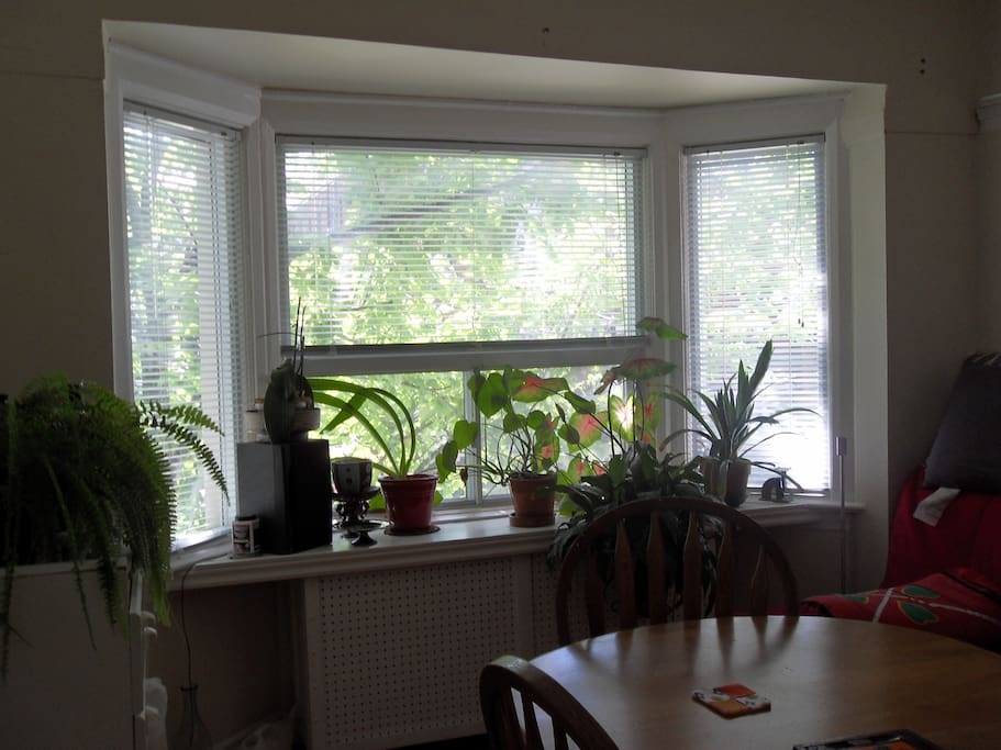 Lots of plants to clear the air :)