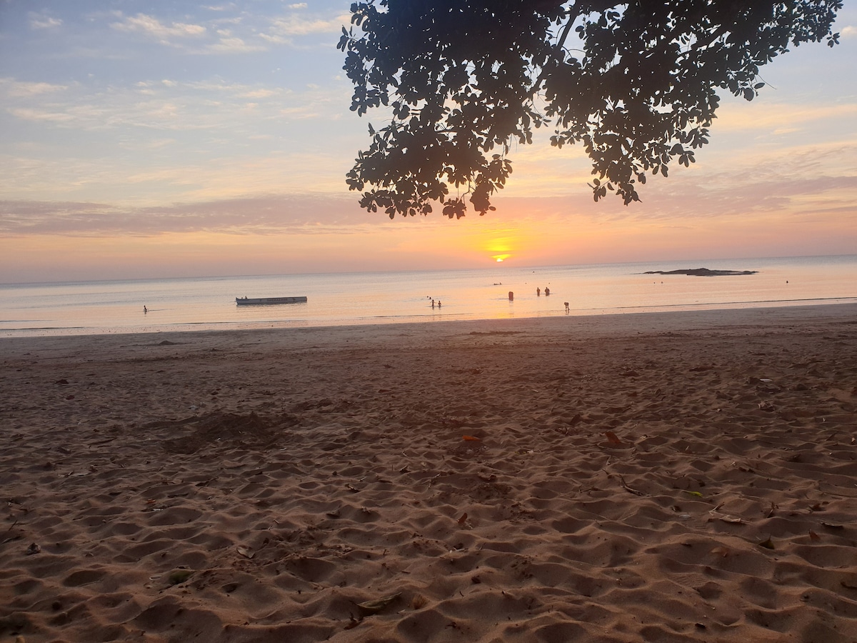 A serene beach scene captures the sun setting on the horizon, casting a warm glow over the calm water. Silhouettes of people are seen enjoying the shoreline, with gentle waves lapping at the sandy beach. A tree branch provides a natural frame in the foreground.
