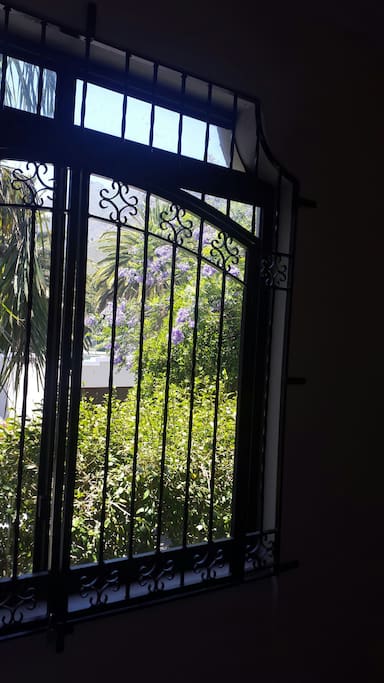 View from enclosed balcony