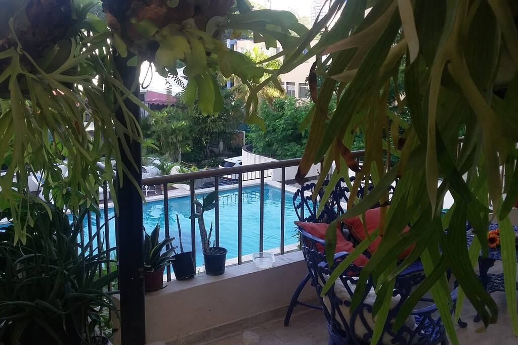 Piscina en el tropico