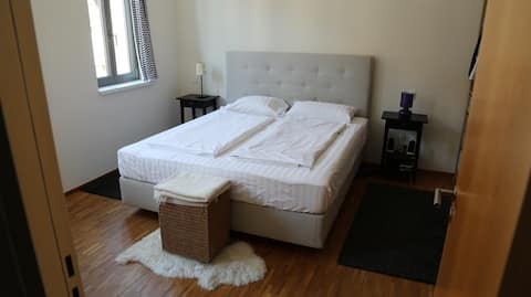 Apartment Zentrum/Frauenkirche