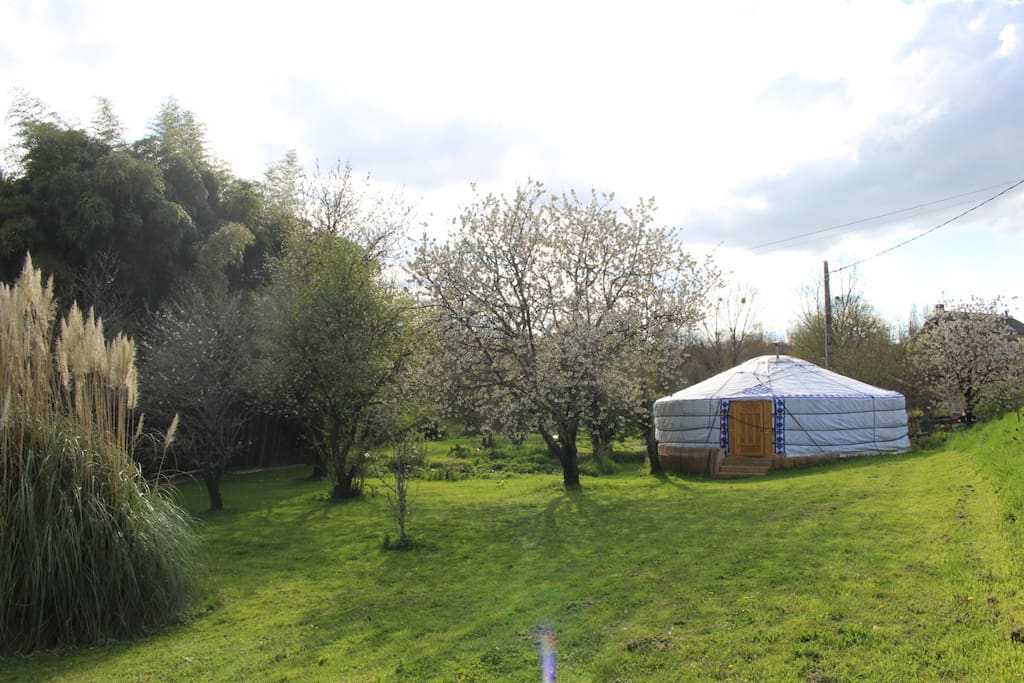 Le Yourt et Jardin