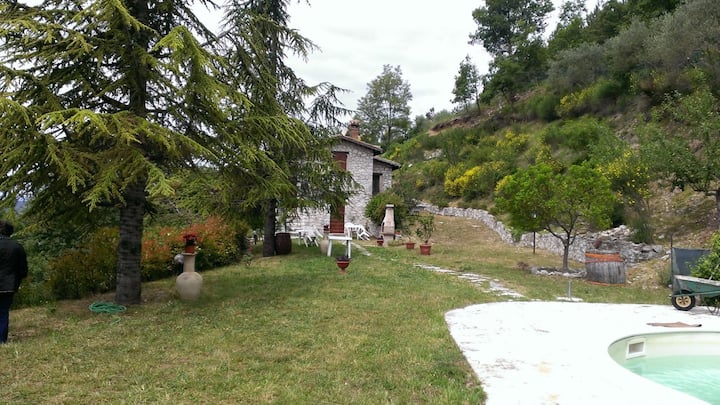 Vigna Renaro