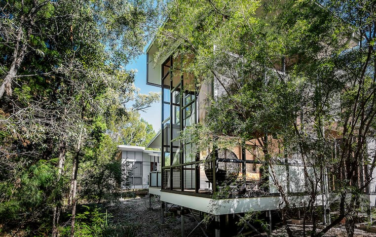 NOOSA NORTH SHORE – 2 LITTLE DUCKS