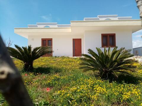 Villa Pampanini Affittacamere
