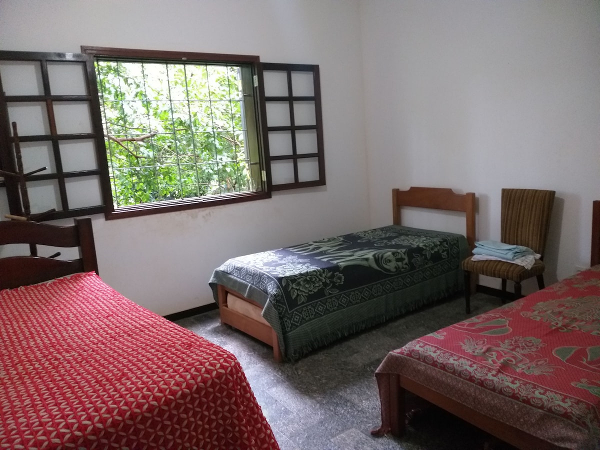 The room features two beds with decorative blankets, one in red and one with a green pattern. A third chair is visible in the corner, and natural light filters through the window, revealing greenery outside.