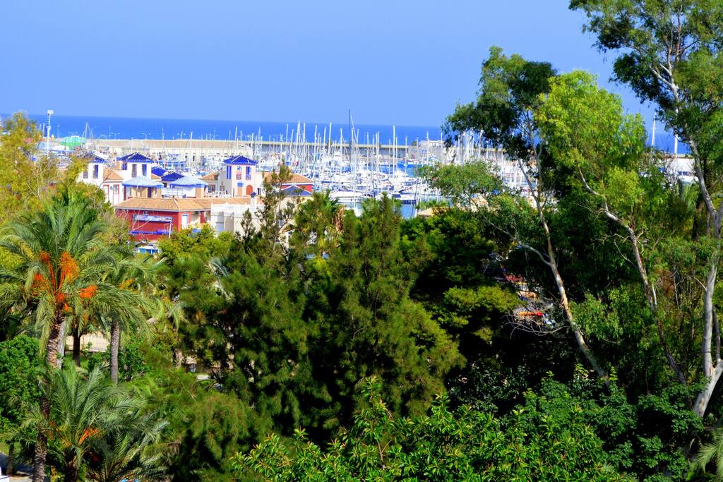 Vue de la Terrasse
