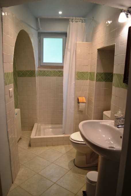 Salle de bain privative (lavabo, douche, WC et sèche-cheveux)