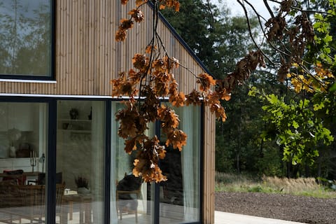 Unique new wooden house in wonderful nature