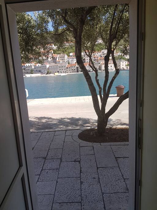 View from Studio
