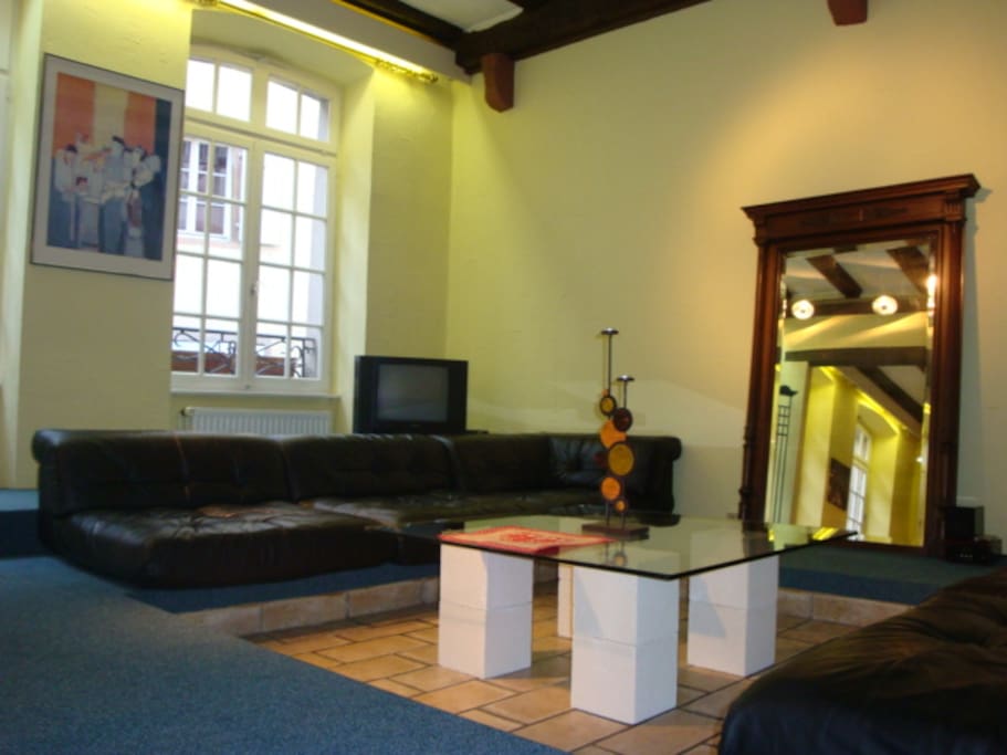 Salon 2 grands canapés en cuir pour 8 personnes + Tv écran plat+ lecteur dvd+ Mini chaine musique...