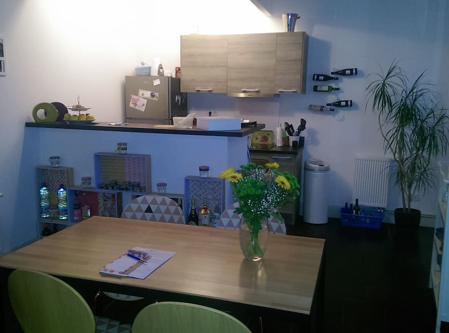 Espace salle à manger / cuisine