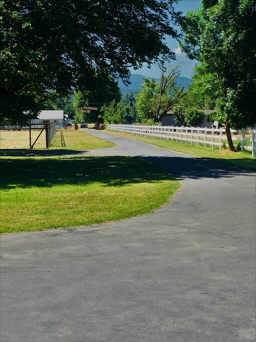 Long Driveway Entrance~ makes for nice evening walks