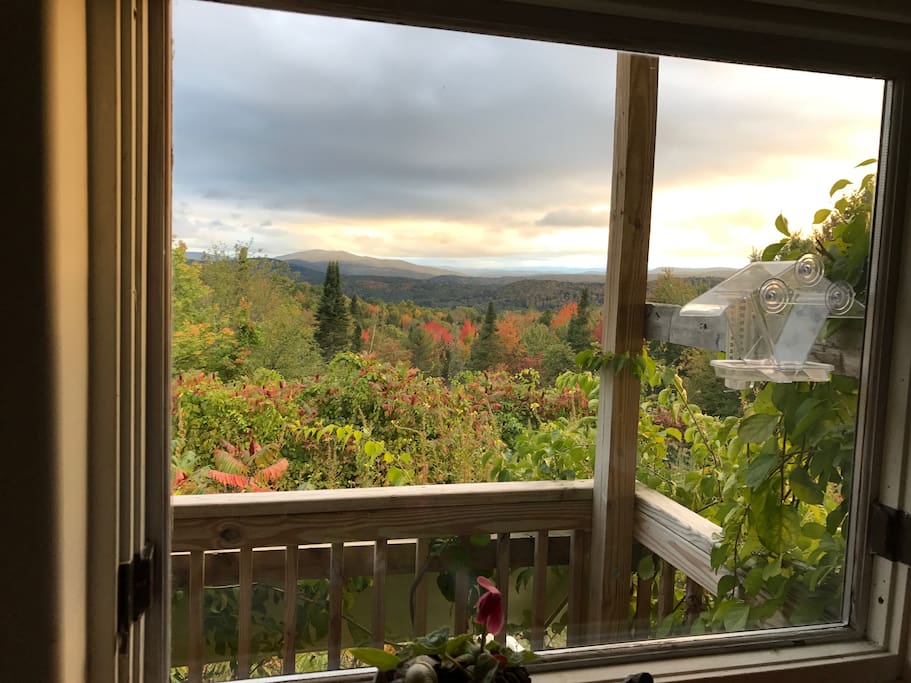 View from the Kitchen window Oct 3,2016 close to peak colors..