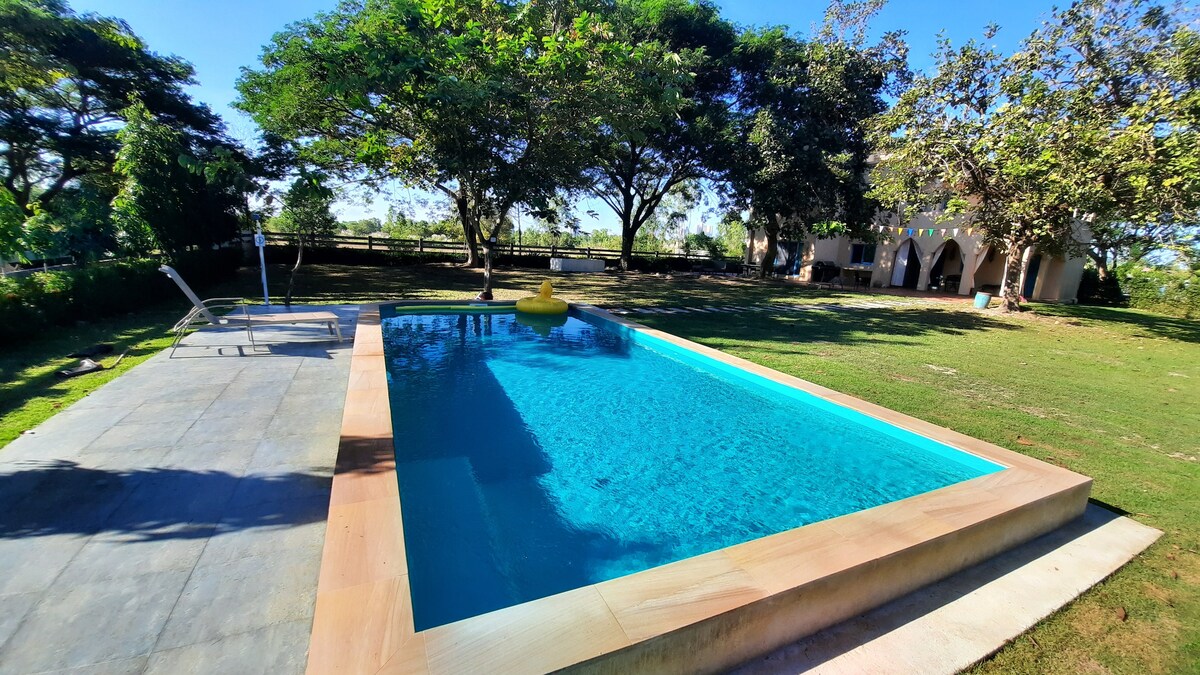 A swimming pool is set within a grassy yard, bordered by lush trees providing shade. Light reflects off the clear water, while a lounge chair is positioned nearby. The area offers a sense of openness, with a villa visible in the background.