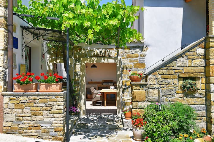 House Lori - green paradise