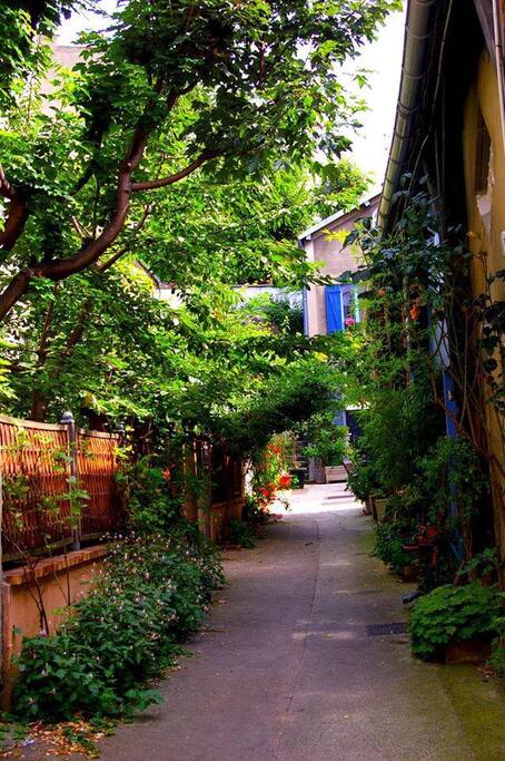 La cours commune