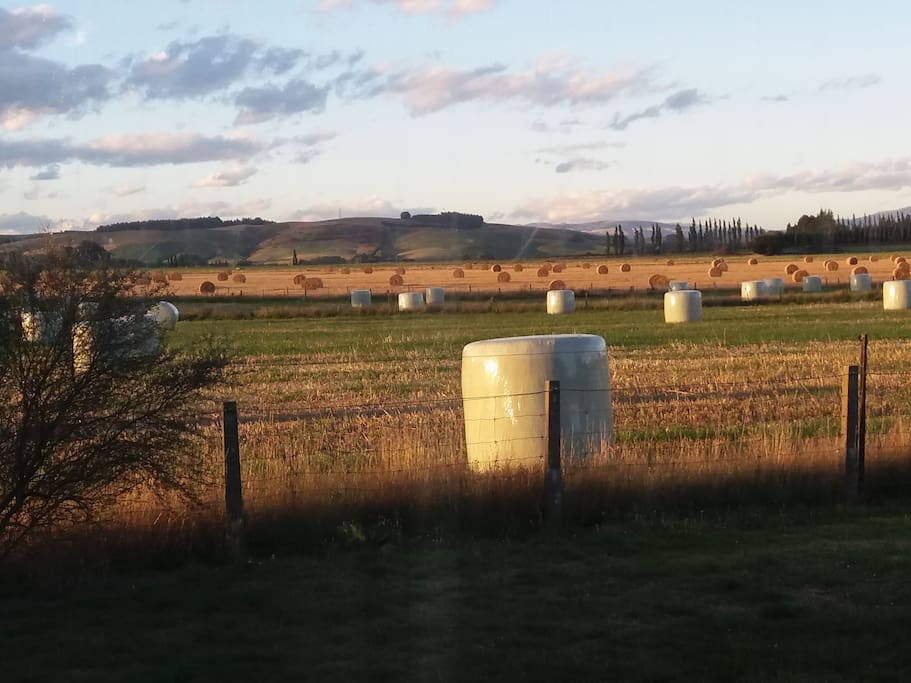 outside the window