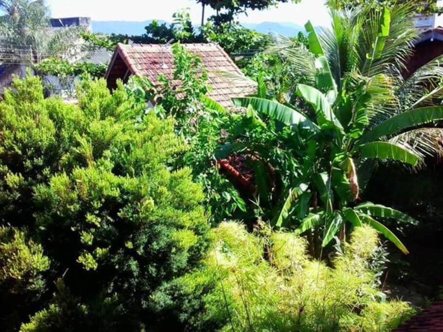 Vista do janela do loft