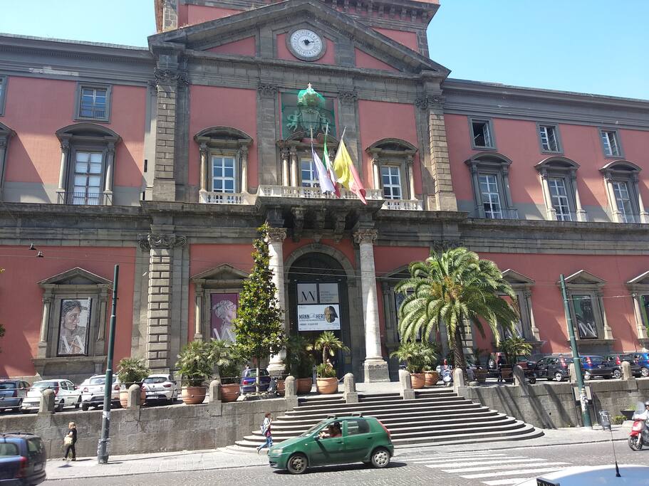 Museo Archeologico Nazionale di Napoli dista solo 600 metri dalla struttura Fonseca Naples