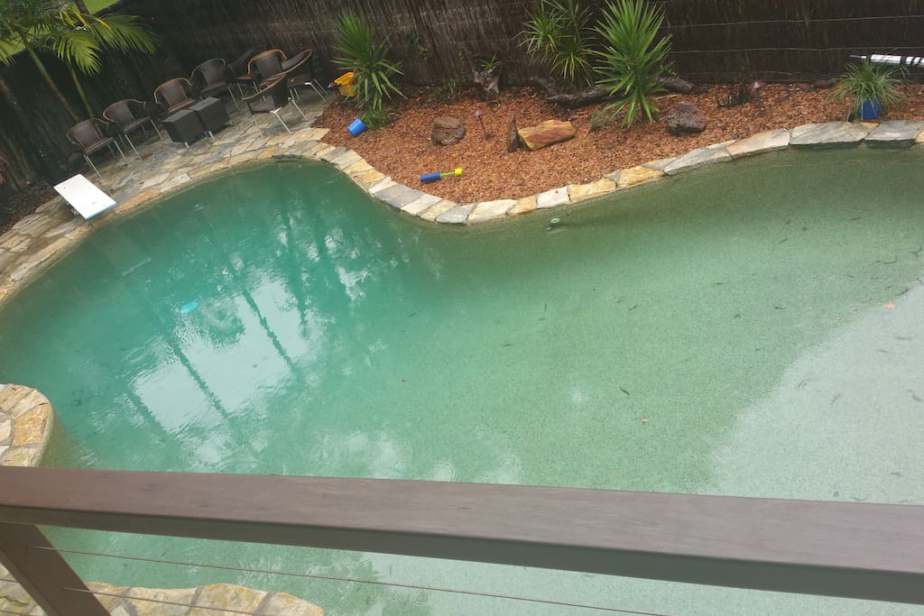 Oasis Pool