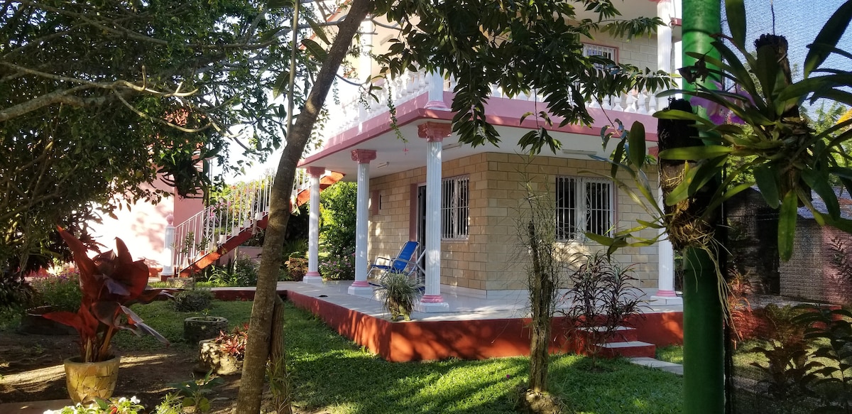 A two-story house is set within a lush garden, featuring vibrant greenery and flowering plants. The exterior is adorned with columns, while a spacious terrace is visible, equipped with seating. Natural light filters through the surrounding foliage, creating a serene atmosphere.