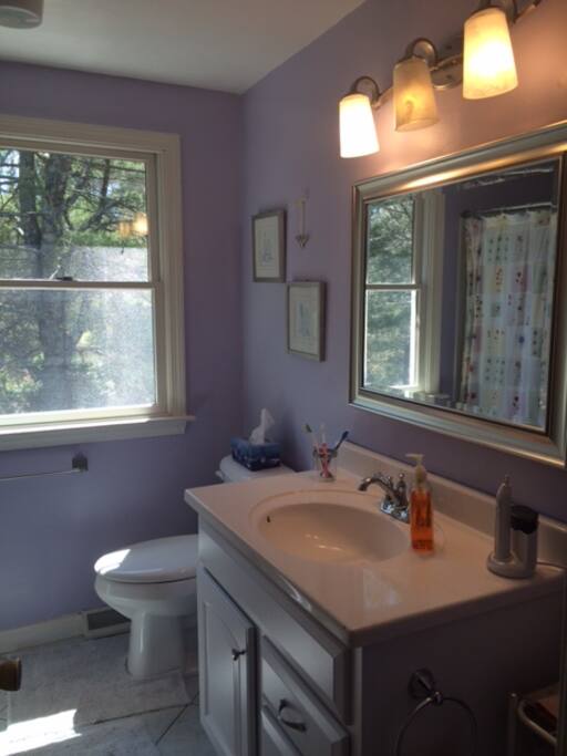 Bathroom with tub, shower