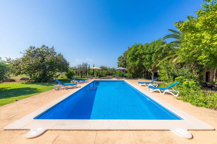 Can Sua gallery image 3